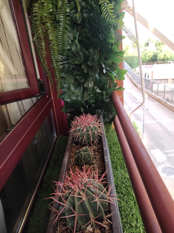 Abra o modal de avaliação 1 de 1