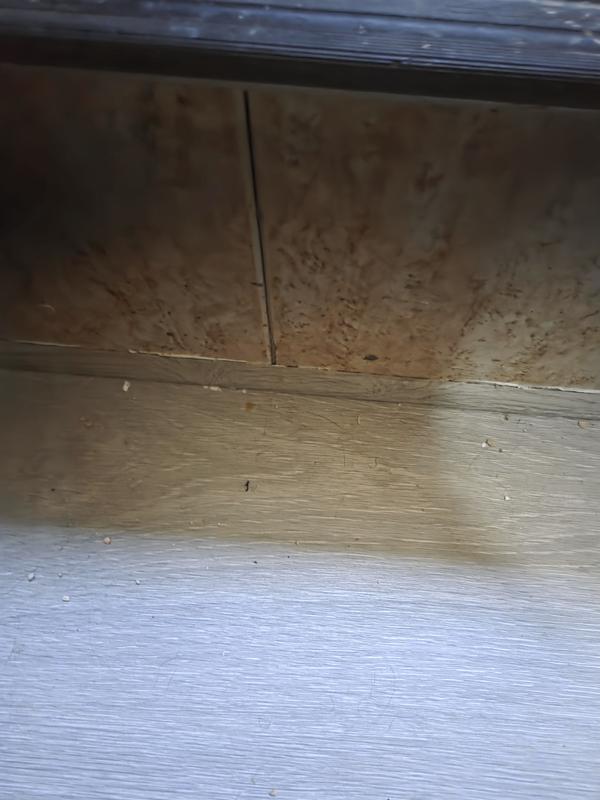 Abrir modal de revisión 1 de 1