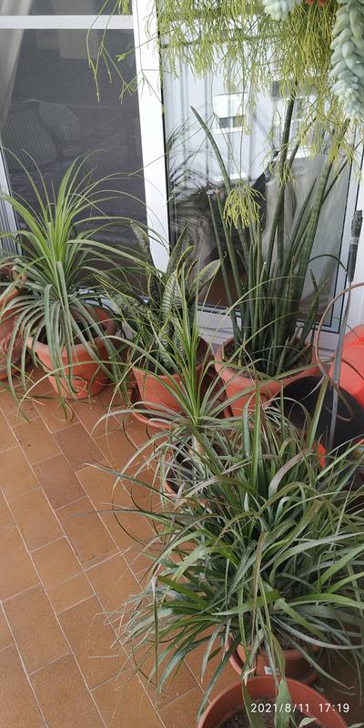 Abrir modal de revisión 3 de 4