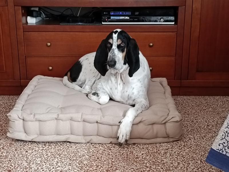 Abrir modal de revisión 1 de 1