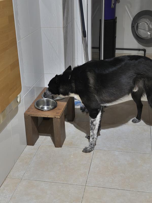 Abrir modal de revisión 1 de 1