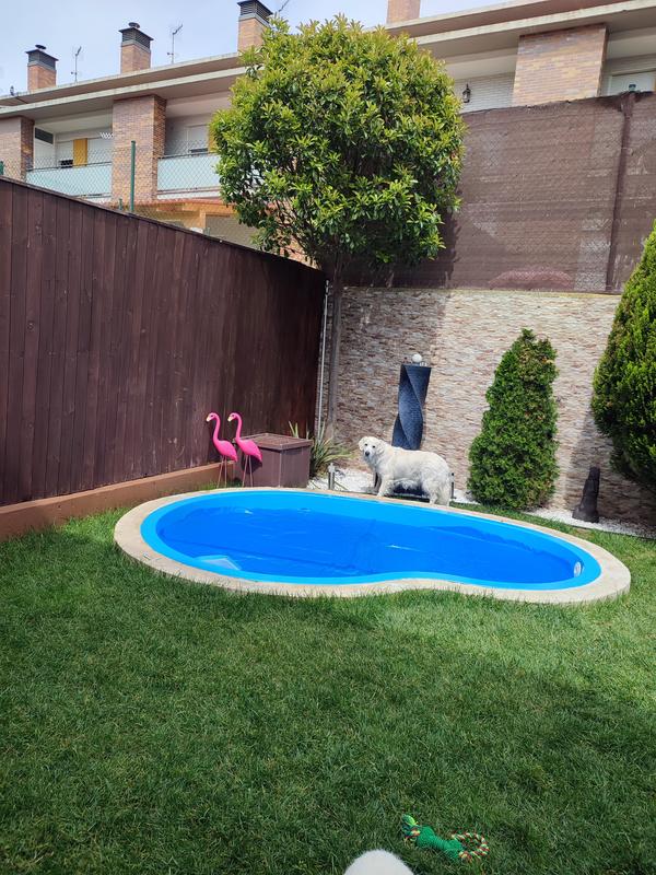 Abrir modal de revisión 2 de 2