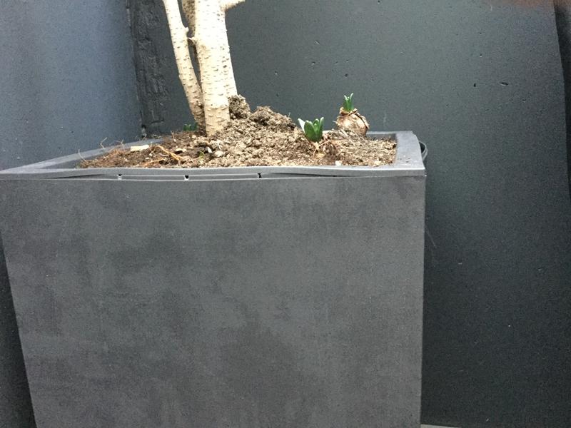 Ouvrir la fenêtre modale de l'avis 1 sur 1