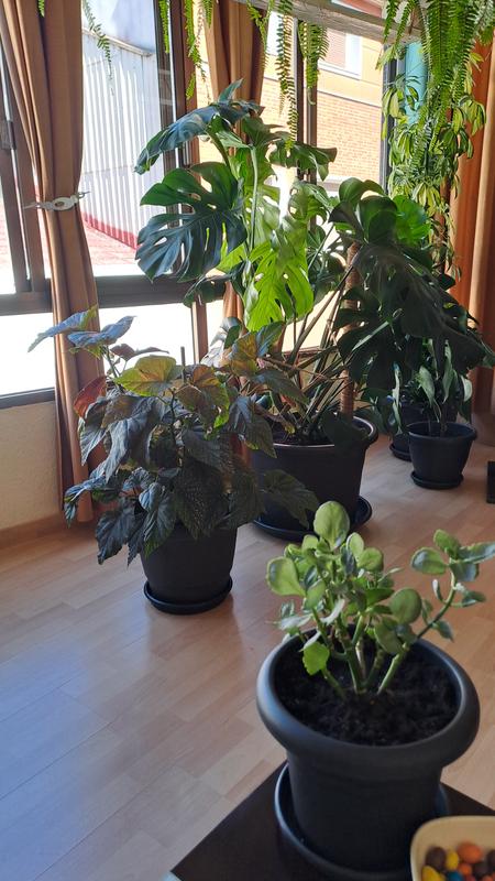 Abrir modal de revisión 1 de 1