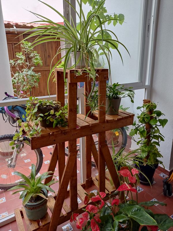 Abrir modal de revisión 1 de 1