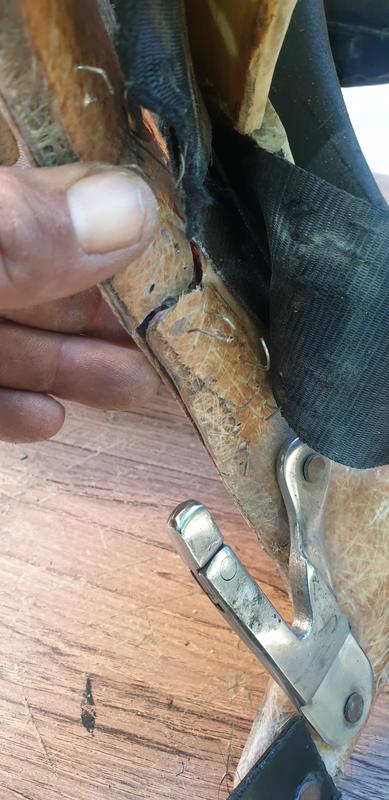 Abrir modal de revisión 1 de 1