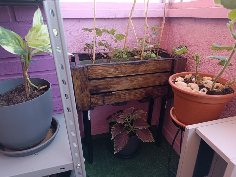 Abrir modal de revisión 1 de 3