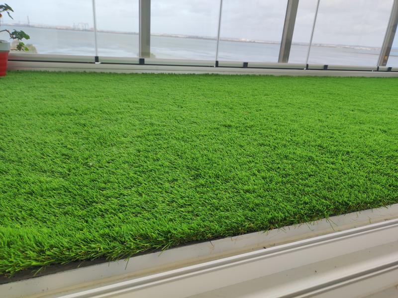 Abrir modal de revisión 1 de 1