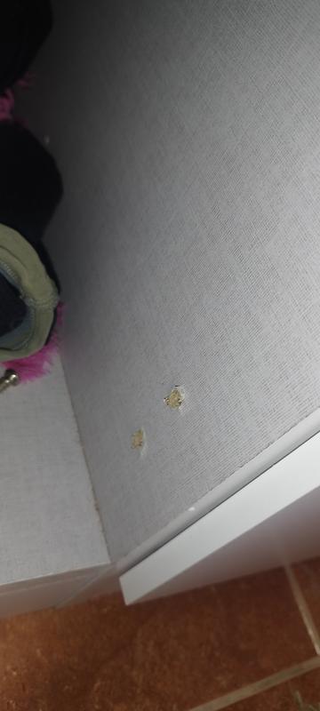 Abrir modal de revisión 1 de 4