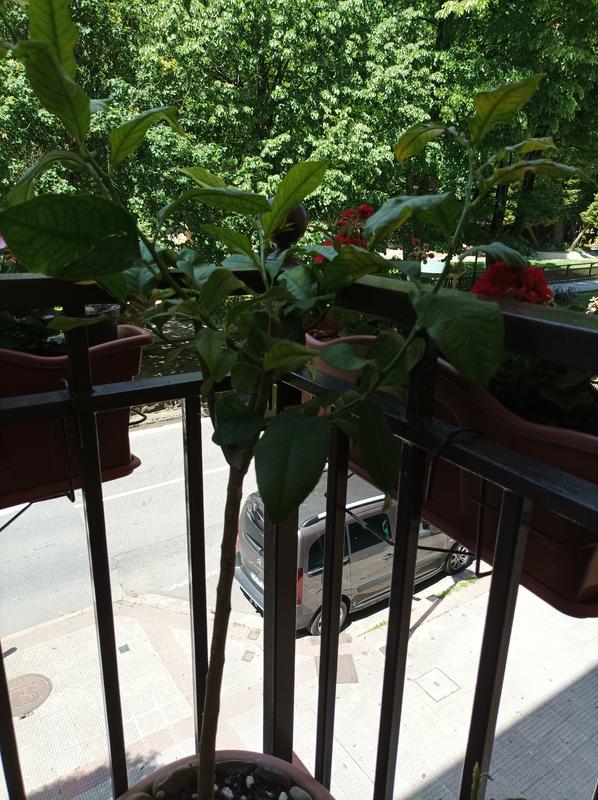 Abrir modal de revisión 1 de 1