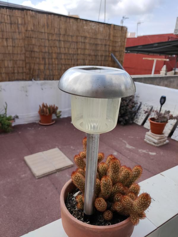 Abrir modal de revisión 1 de 1