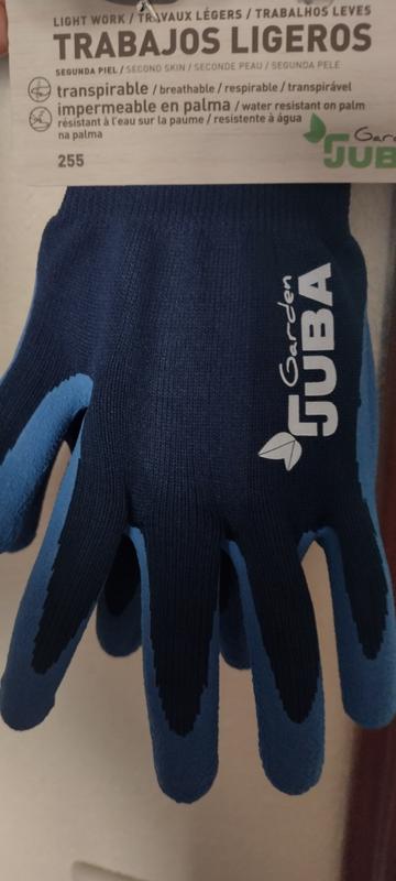 Abrir modal de revisión 1 de 1