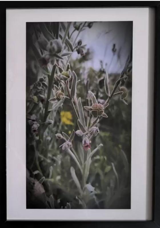 Ouvrir la fenêtre modale de l'avis 1 sur 1