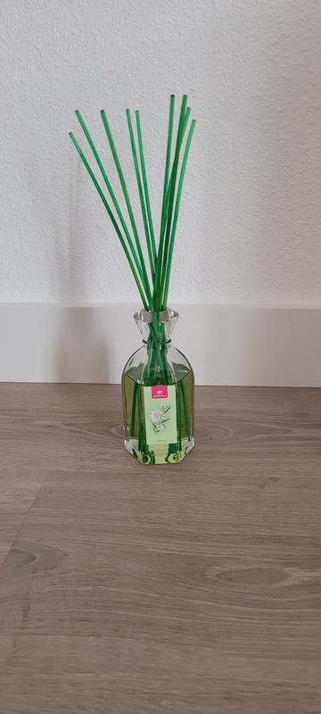 Abra o modal de avaliação 1 de 1