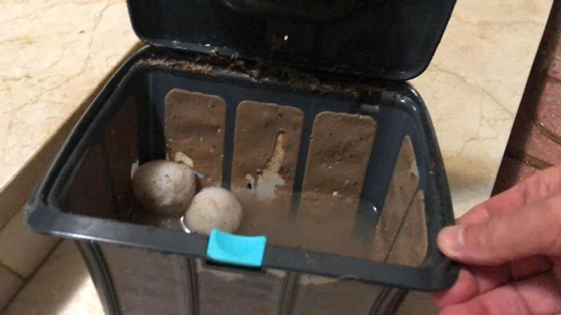 Abrir modal de revisión 3 de 4