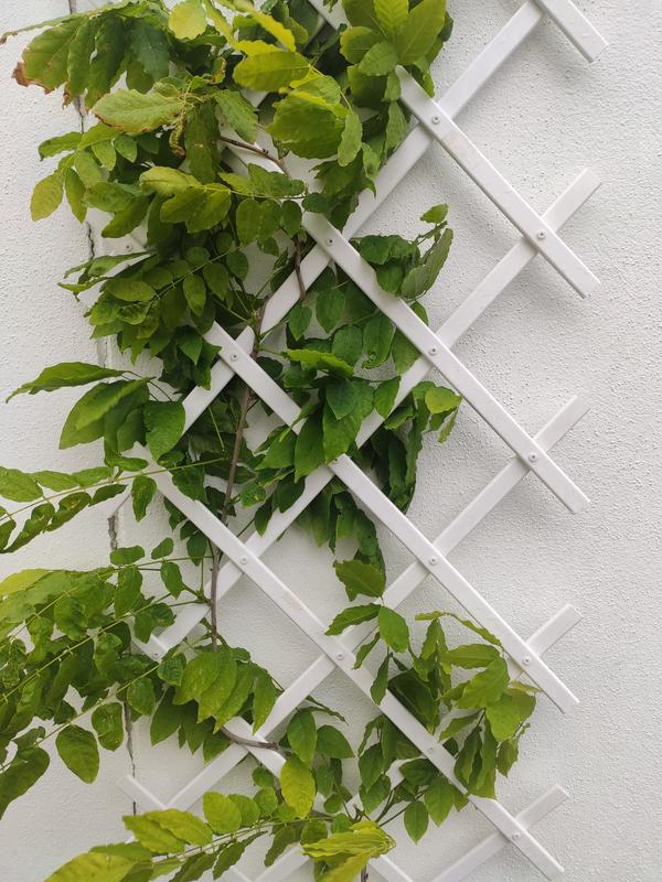 Abra o modal de avaliação 1 de 1