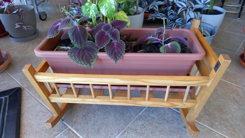 Abrir modal de revisión 1 de 1