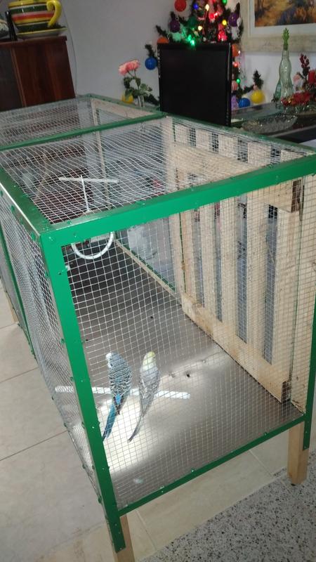 Abrir modal de revisión 3 de 3