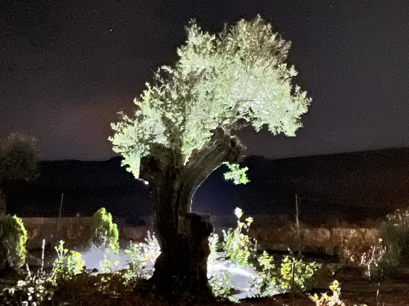 Abrir modal de revisión 1 de 1