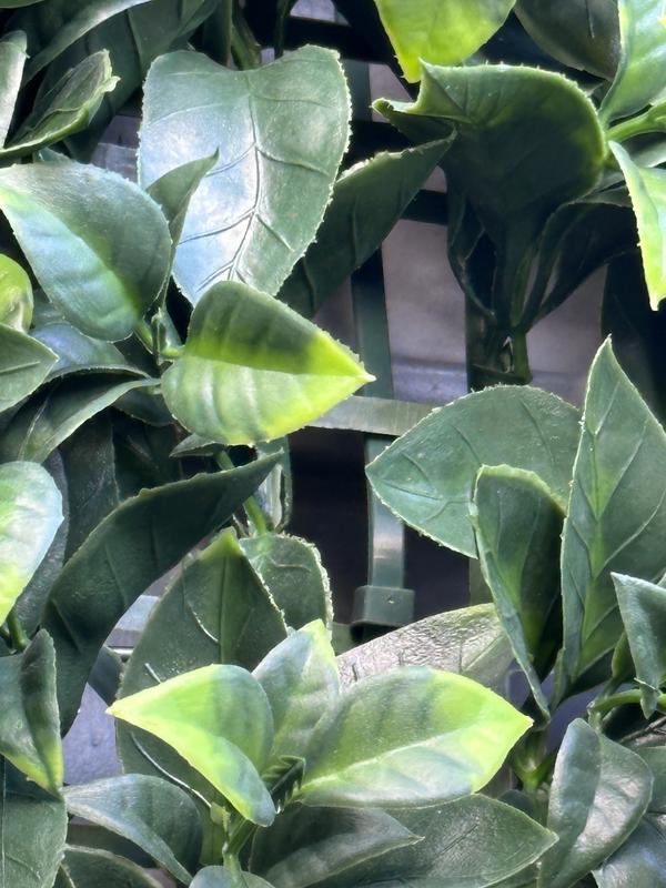 Abra o modal de avaliação 2 de 3