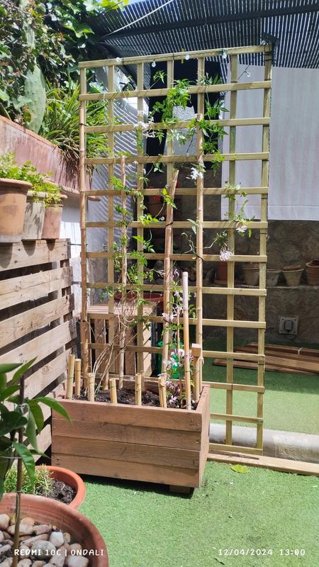 Abrir modal de revisión 1 de 1