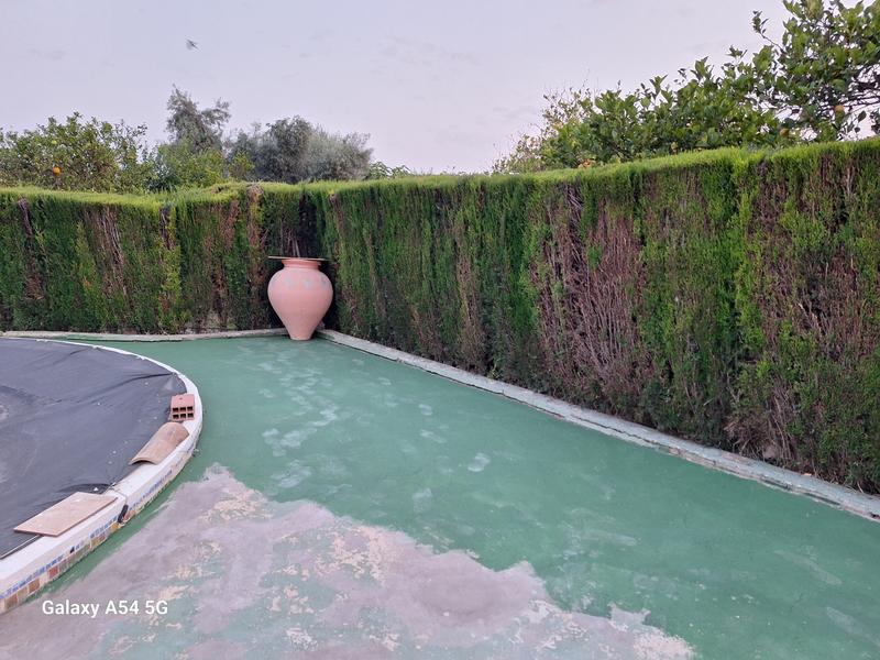 Abrir modal de revisión 1 de 1