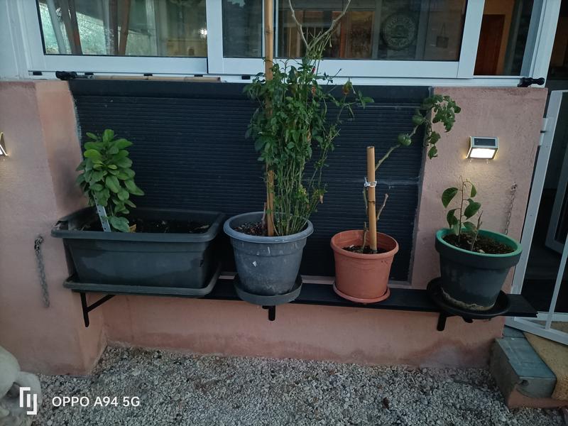 Abra o modal de avaliação 1 de 2