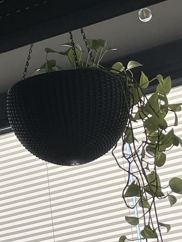 Abra o modal de avaliação 1 de 1