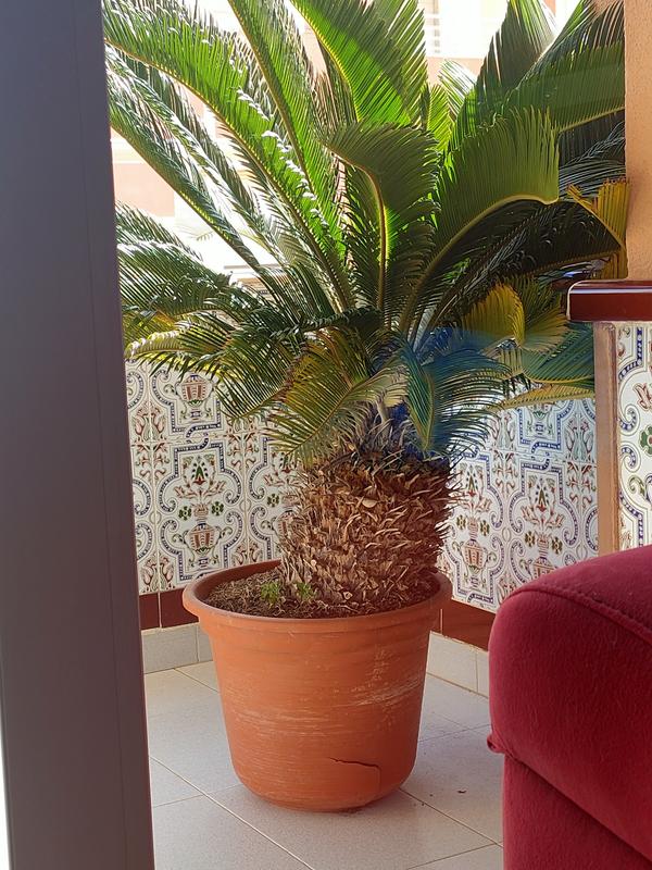 Abrir modal de revisión 1 de 1