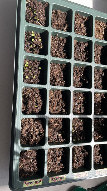 Abra o modal de avaliação 1 de 1