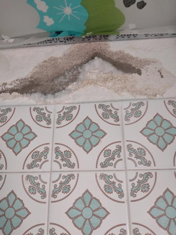 Abrir modal de revisión 1 de 1