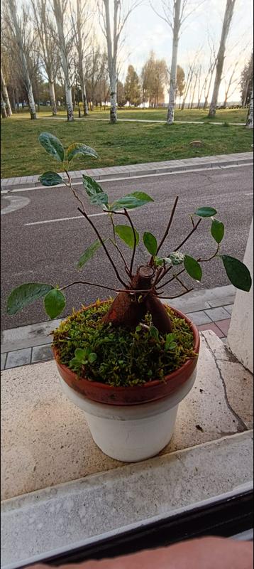 Abra o modal de avaliação 1 de 3