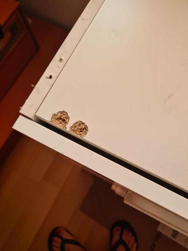 Abrir modal de revisión 1 de 2