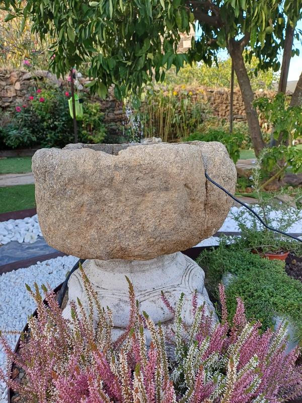 Abrir modal de revisión 1 de 1