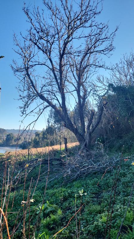 Ouvrir la fenêtre modale de l'avis 3 sur 4