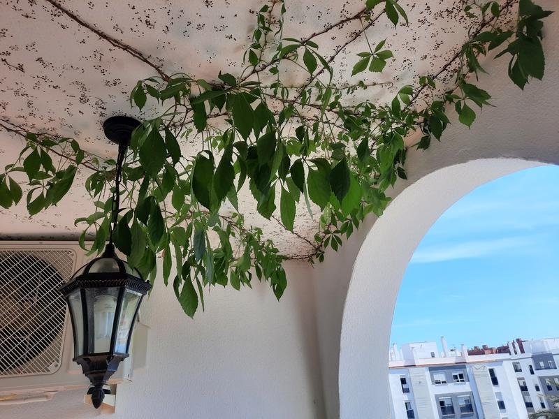 Abrir modal de revisión 2 de 2