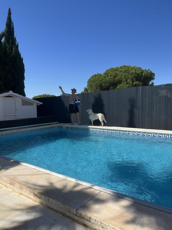 Abrir modal de revisión 1 de 1