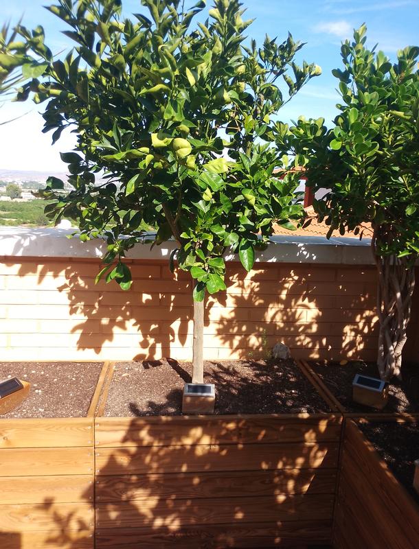 Abrir modal de revisión 1 de 1