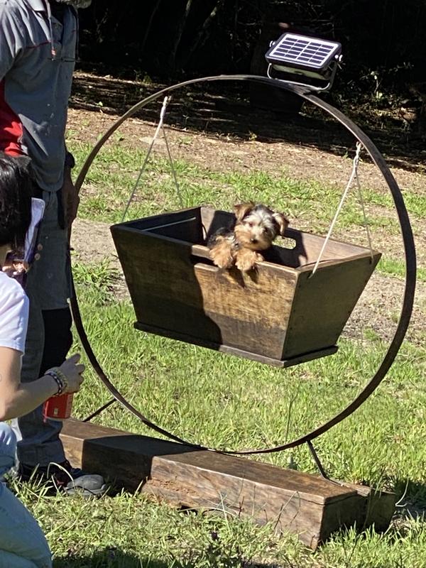 Abrir modal de revisión 1 de 1