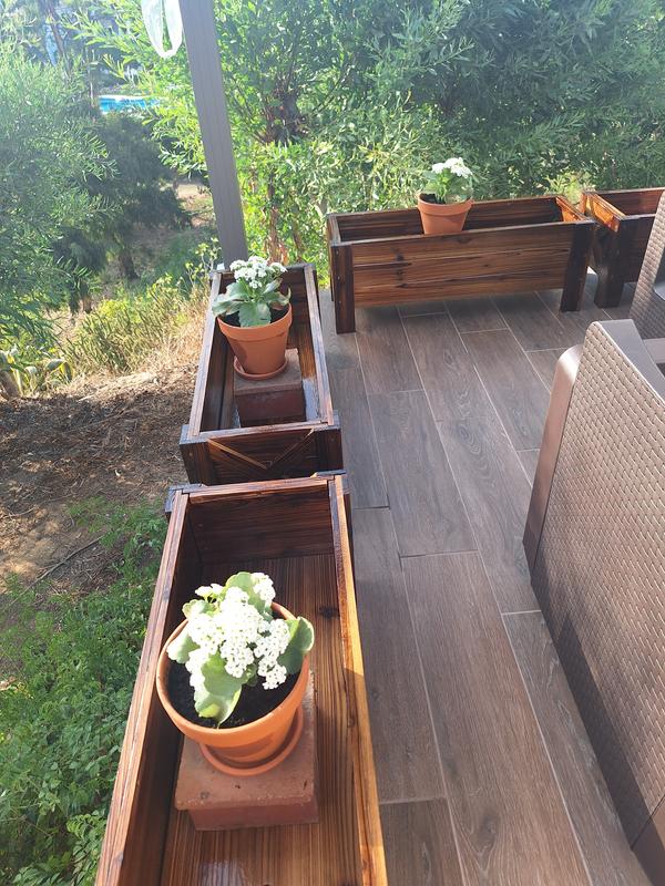 Abrir modal de revisión 1 de 1