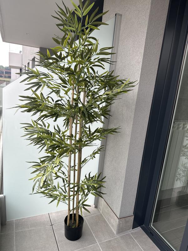 Abra o modal de avaliação 1 de 1