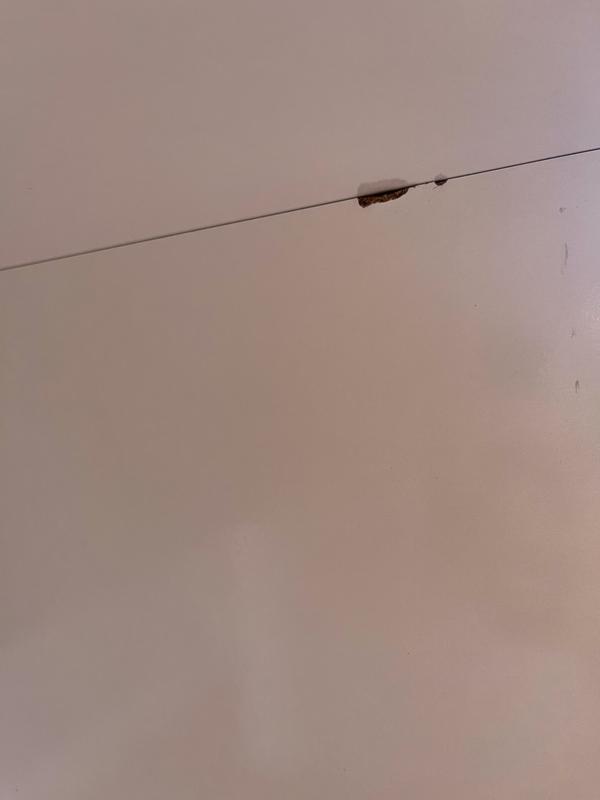 Revisione aperta modale 2 su 4