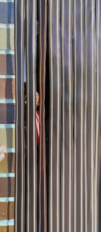 Abrir modal de revisión 2 de 2