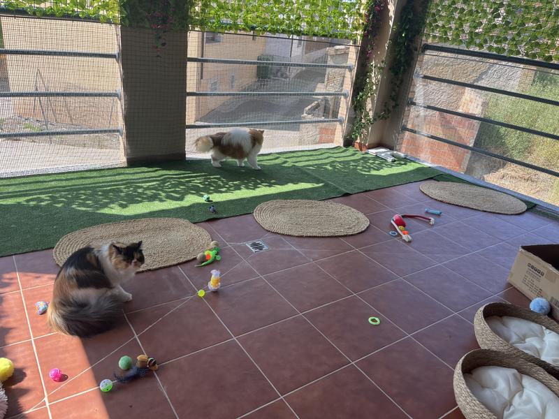 Abrir modal de revisión 2 de 2