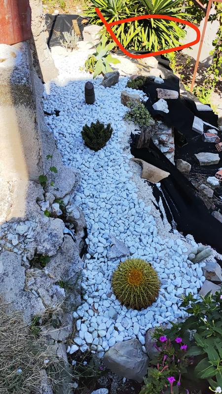 Abra o modal de avaliação 1 de 1