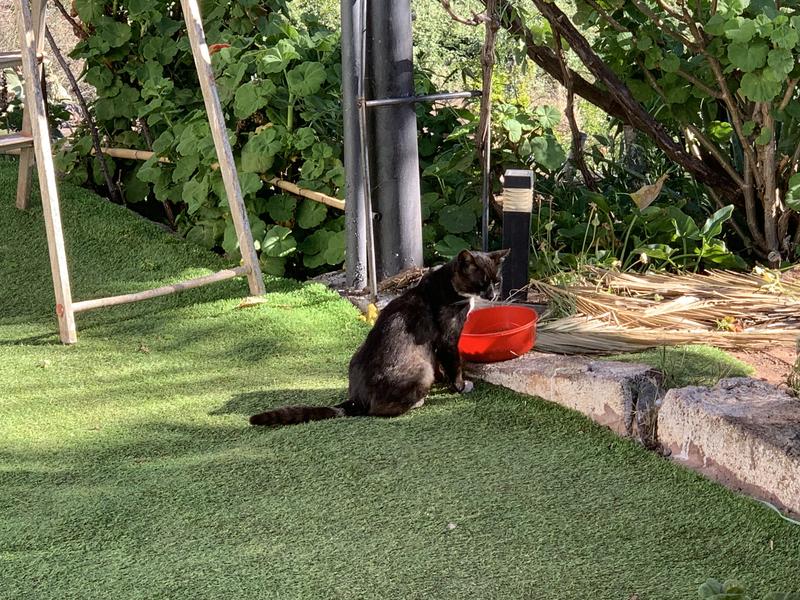 Abra o modal de avaliação 1 de 1