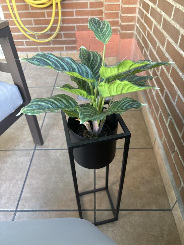 Abra o modal de avaliação 1 de 1