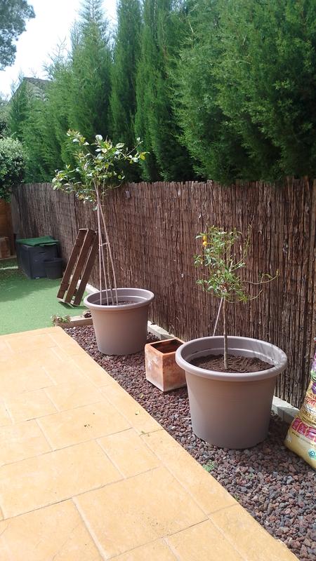 Abrir modal de revisión 1 de 1