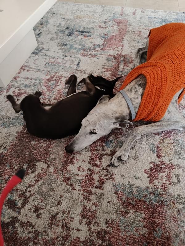 Abrir modal de revisión 1 de 1