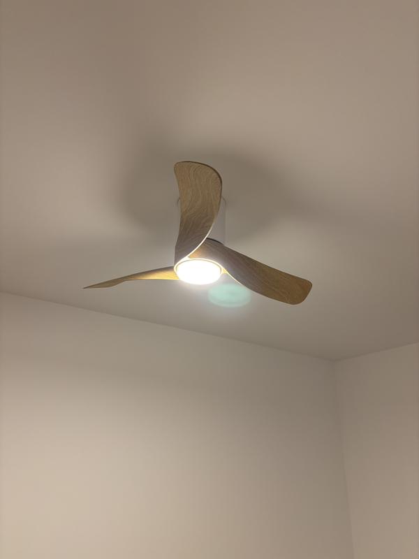 Abrir modal de revisión 1 de 1